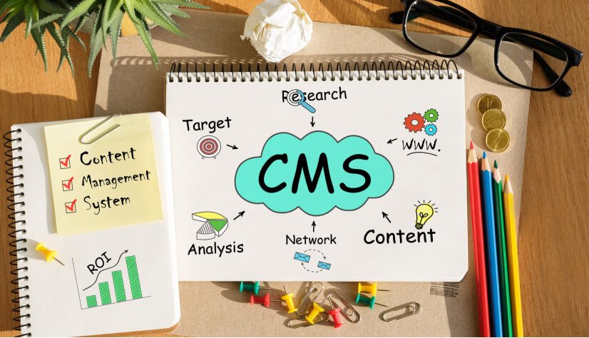 CMS Integration